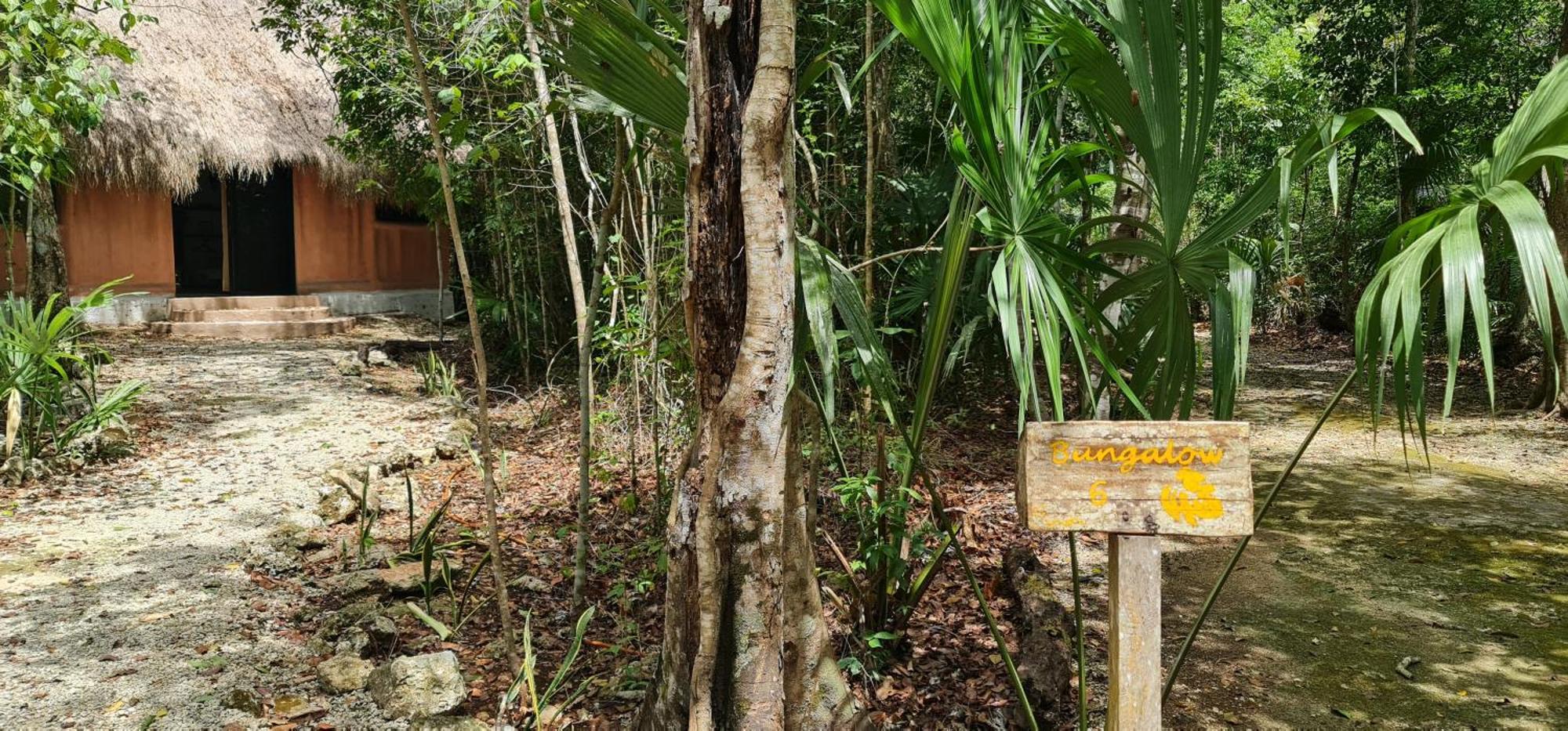 Jolie Jungle Eco Hotel (Adults Only) Leona Vicario Exterior photo