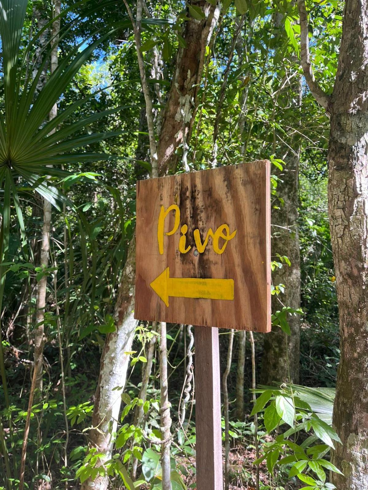 Jolie Jungle Eco Hotel (Adults Only) Leona Vicario Room photo