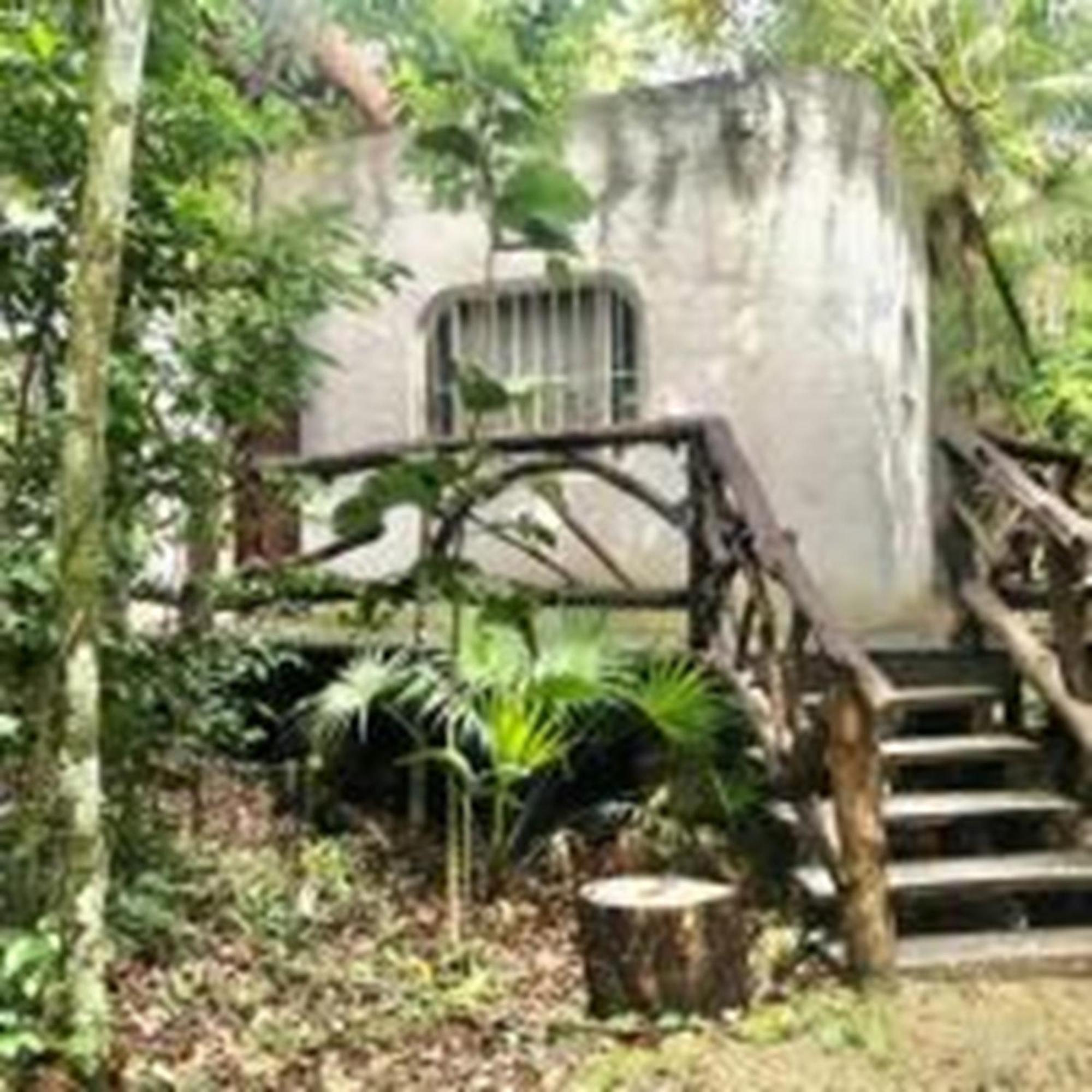 Jolie Jungle Eco Hotel (Adults Only) Leona Vicario Exterior photo