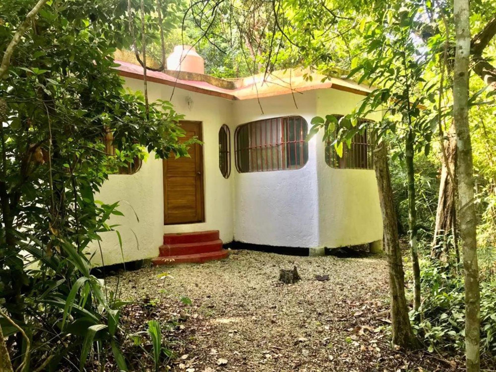 Jolie Jungle Eco Hotel (Adults Only) Leona Vicario Exterior photo