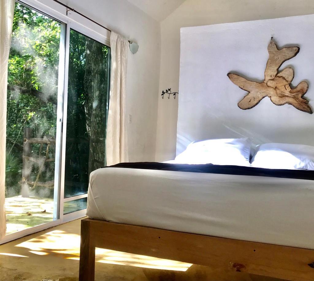 Jolie Jungle Eco Hotel (Adults Only) Leona Vicario Exterior photo