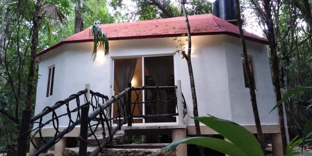 Jolie Jungle Eco Hotel (Adults Only) Leona Vicario Exterior photo